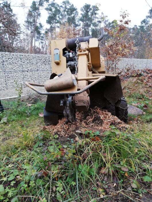 Baumstumpffräsen Lanzinger