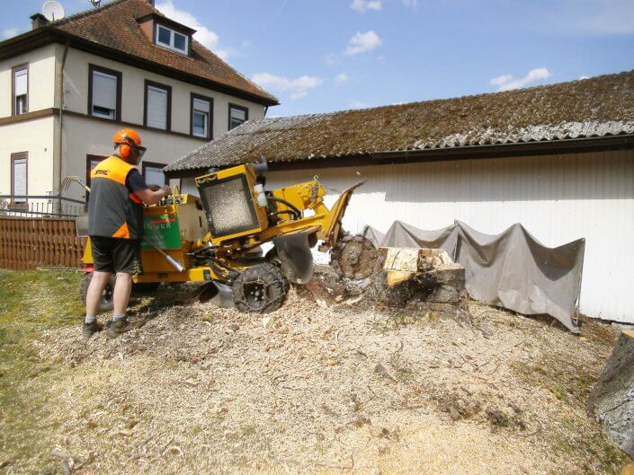 Baumstumpffräsen Lanzinger